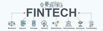 Fintech Rise & Fall